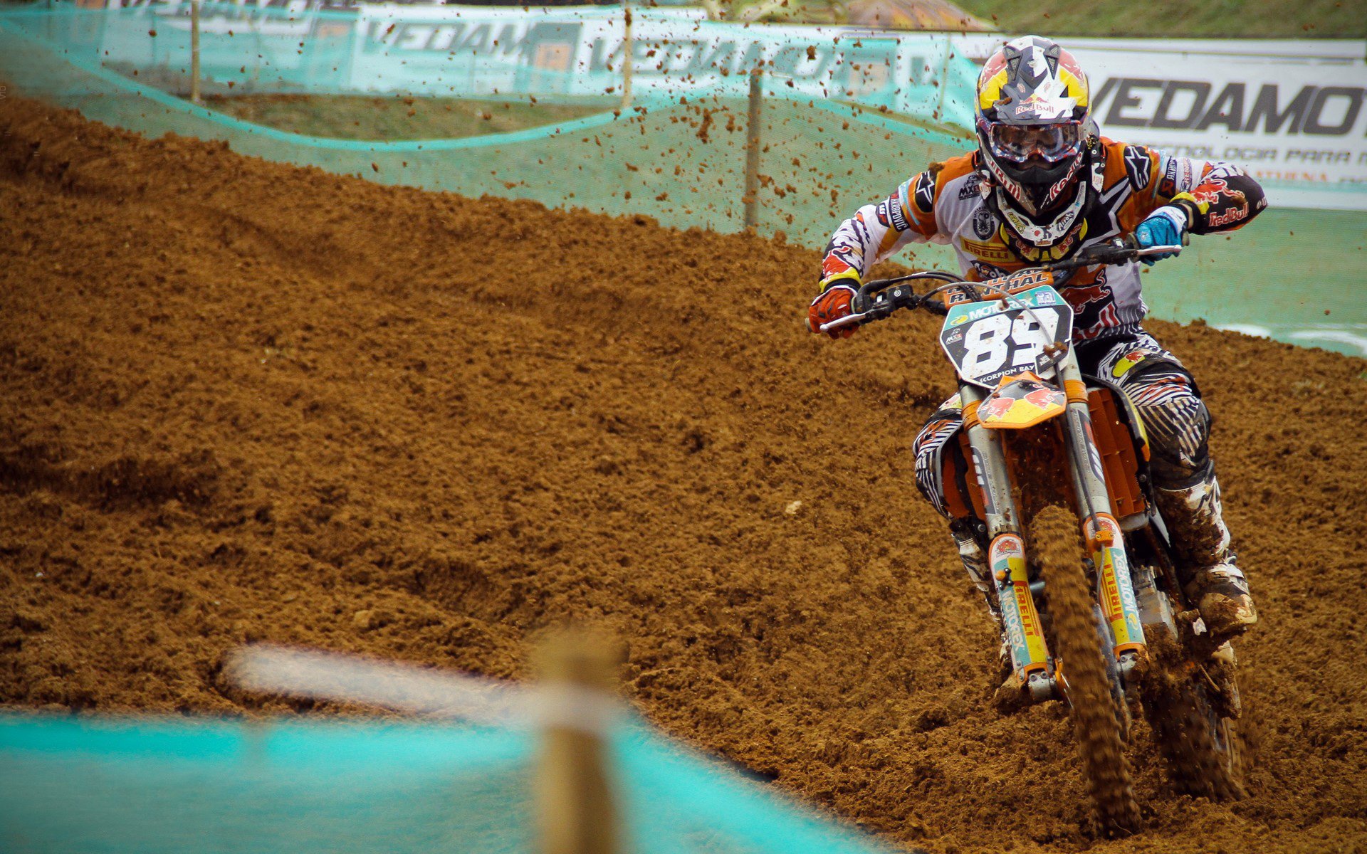 综合体育系举办首届校园马拉松 短半程设多级别组别